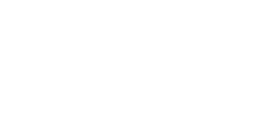 DFW Express Delivery Logo